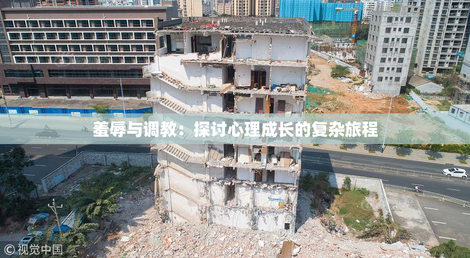 羞辱与调教：探讨心理成长的复杂旅程