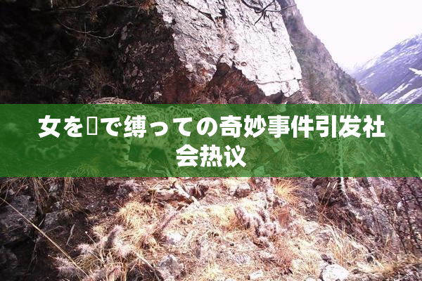女を縄で缚っての奇妙事件引发社会热议