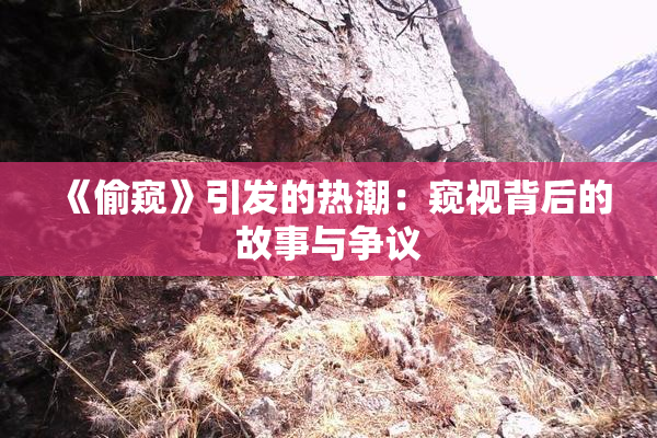 《偷窥》引发的热潮：窥视背后的故事与争议
