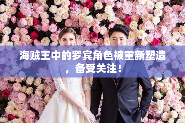 海贼王中的罗宾角色被重新塑造，备受关注！
