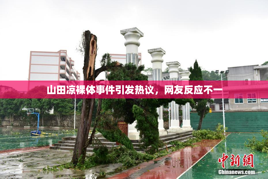 山田凉裸体事件引发热议，网友反应不一