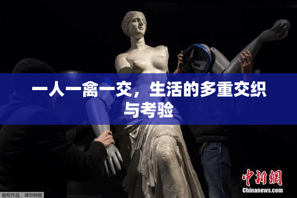 一人一禽一交，生活的多重交织与考验