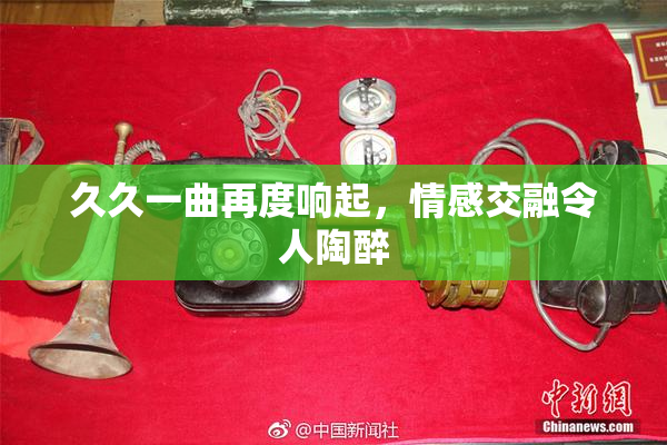 久久一曲再度响起，情感交融令人陶醉