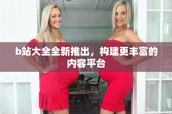 b站大全全新推出，构建更丰富的内容平台
