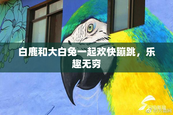 白鹿和大白兔一起欢快蹦跳，乐趣无穷