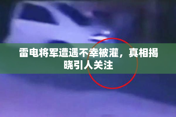 雷电将军遭遇不幸被灌，真相揭晓引人关注