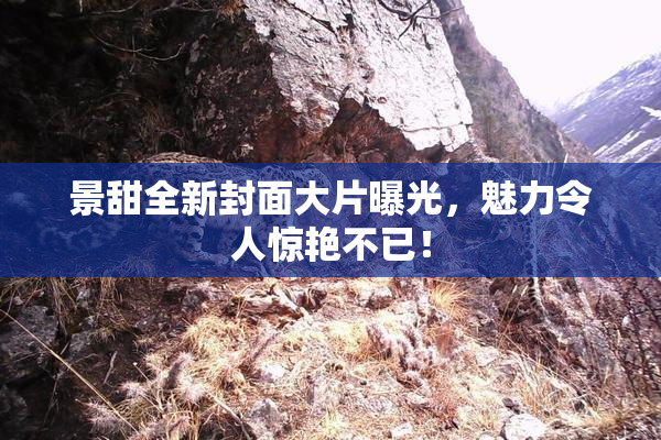 景甜全新封面大片曝光，魅力令人惊艳不已！