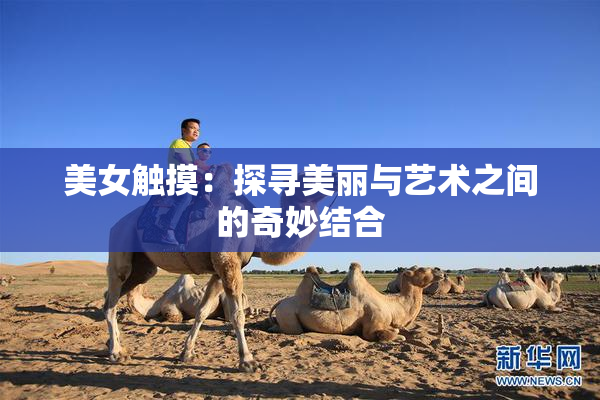 美女触摸：探寻美丽与艺术之间的奇妙结合
