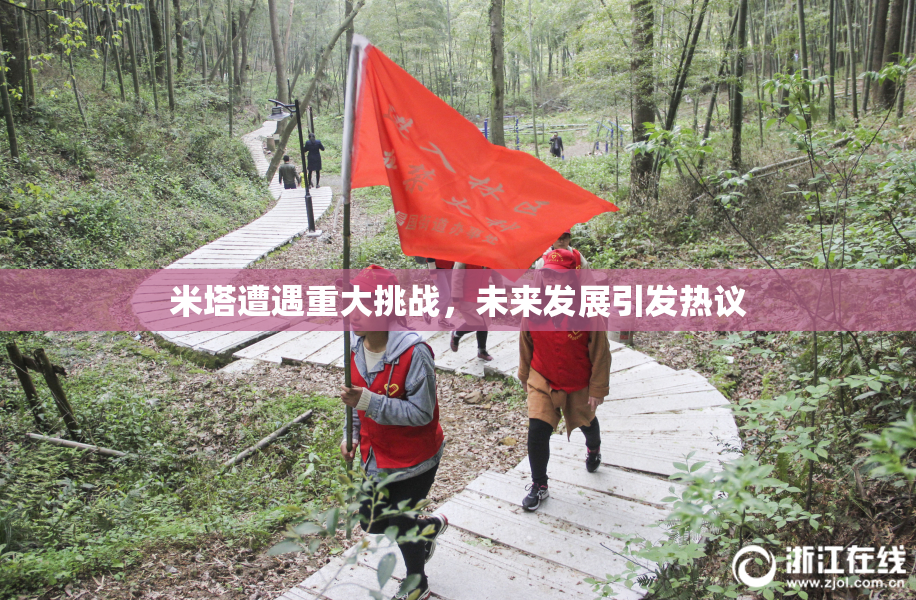 米塔遭遇重大挑战，未来发展引发热议
