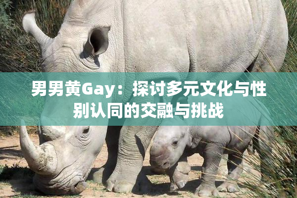 男男黄Gay：探讨多元文化与性别认同的交融与挑战