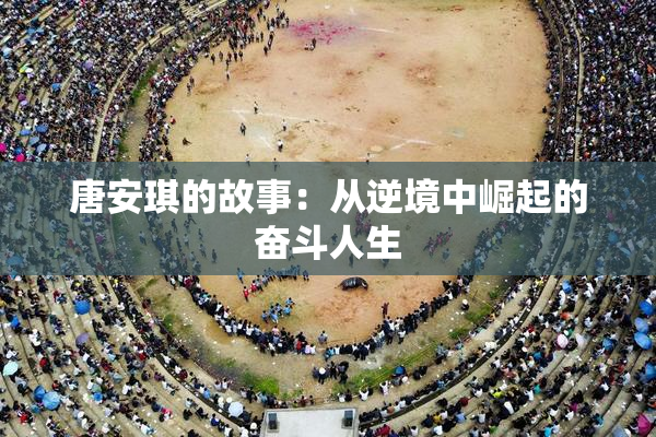 唐安琪的故事：从逆境中崛起的奋斗人生