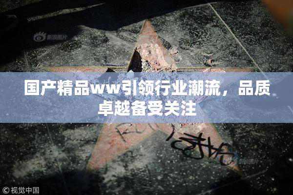 国产精品ww引领行业潮流，品质卓越备受关注