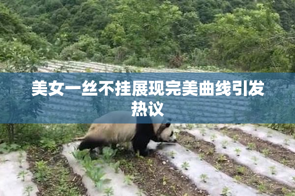 美女一丝不挂展现完美曲线引发热议