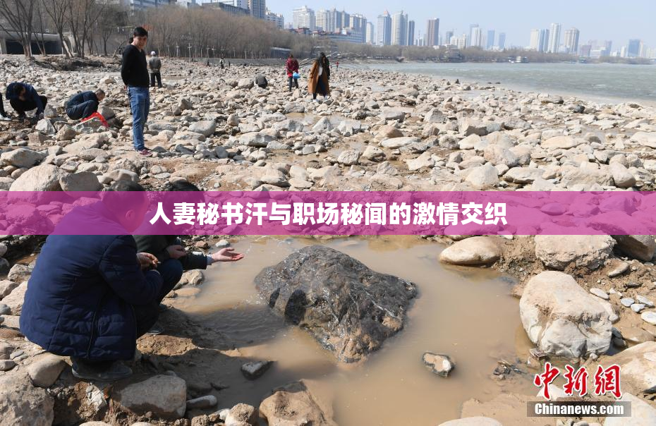 人妻秘书汗与职场秘闻的激情交织