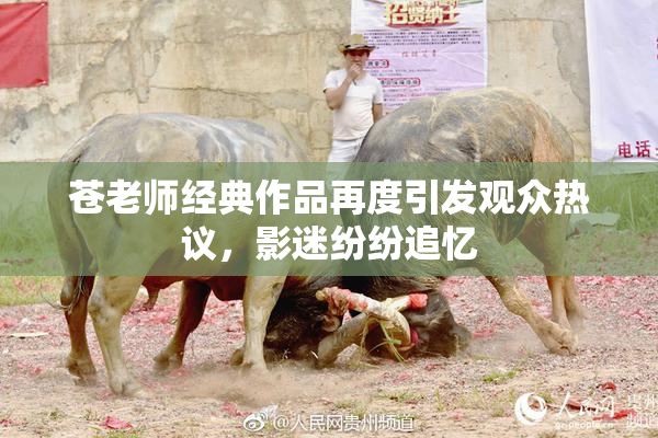 苍老师经典作品再度引发观众热议，影迷纷纷追忆