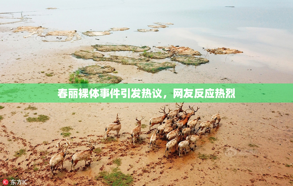 春丽裸体事件引发热议，网友反应热烈