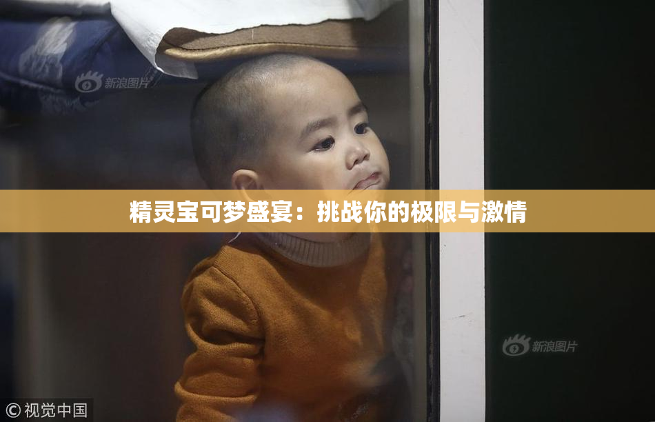 精灵宝可梦盛宴：挑战你的极限与激情