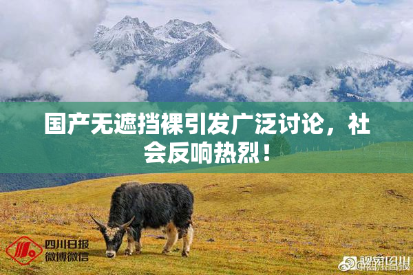 国产无遮挡裸引发广泛讨论，社会反响热烈！