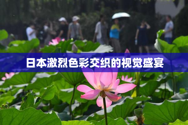 日本激烈色彩交织的视觉盛宴