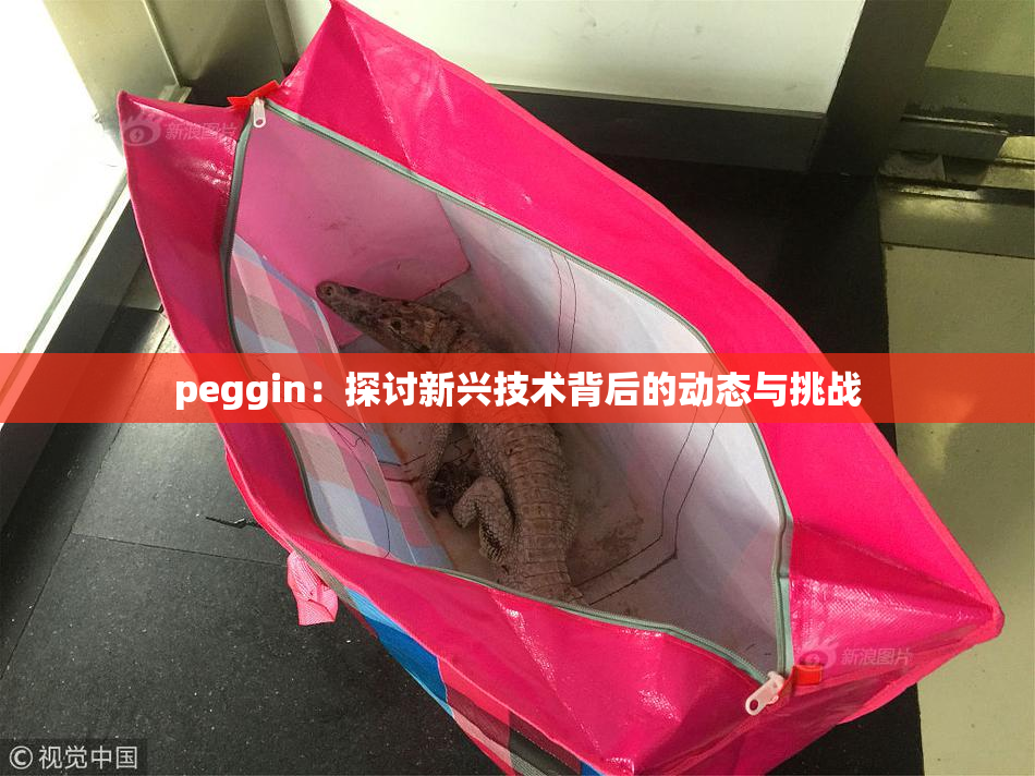peggin：探讨新兴技术背后的动态与挑战