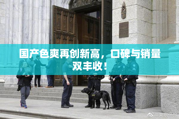国产色爽再创新高，口碑与销量双丰收！