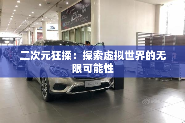 二次元狂揉：探索虚拟世界的无限可能性