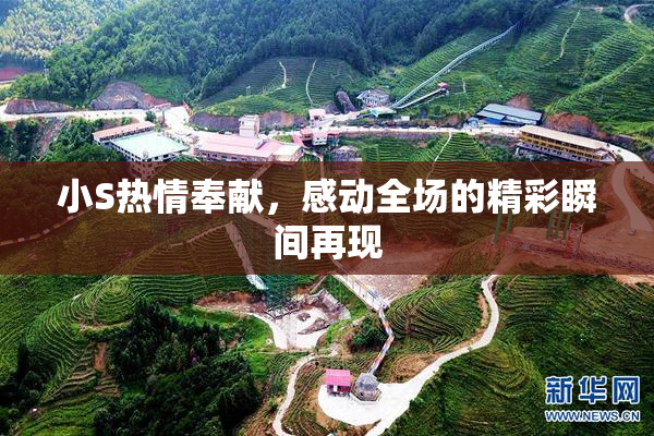 小S热情奉献，感动全场的精彩瞬间再现