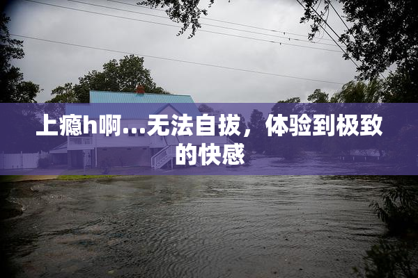 上瘾h啊…无法自拔，体验到极致的快感