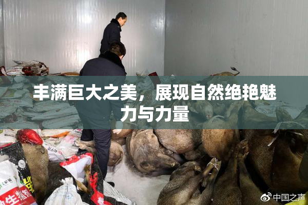 丰满巨大之美，展现自然绝艳魅力与力量