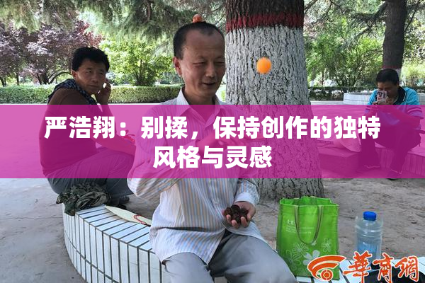 严浩翔：别揉，保持创作的独特风格与灵感