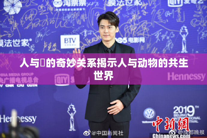 人与嘼的奇妙关系揭示人与动物的共生世界