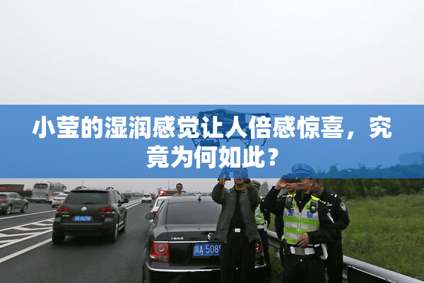 小莹的湿润感觉让人倍感惊喜，究竟为何如此？