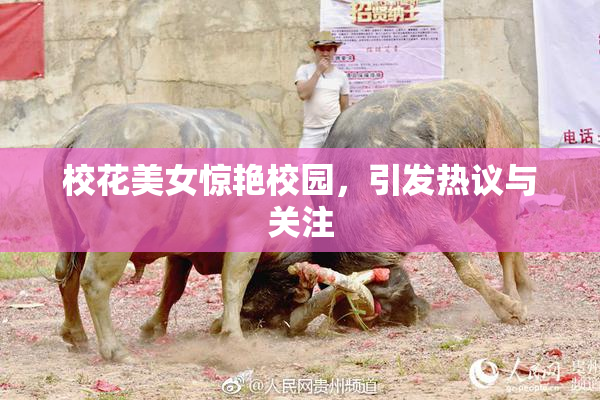 校花美女惊艳校园，引发热议与关注