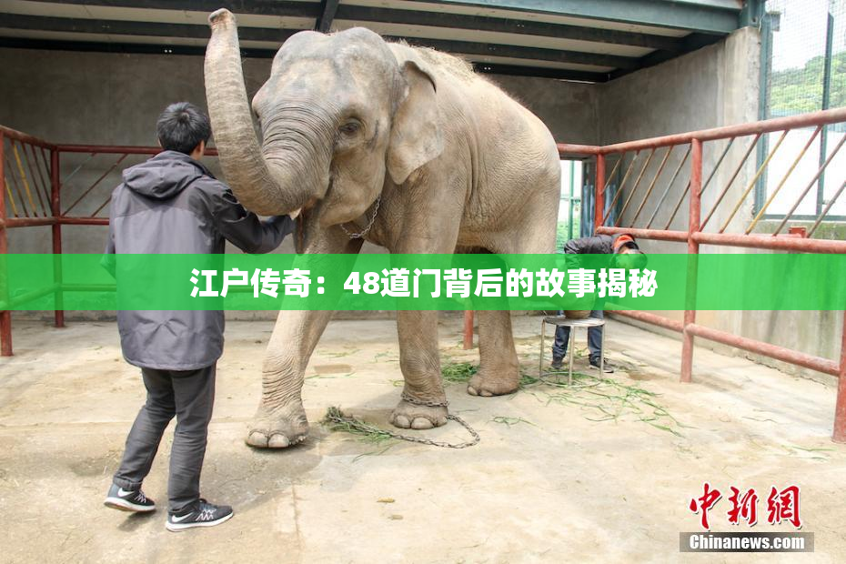 江户传奇：48道门背后的故事揭秘
