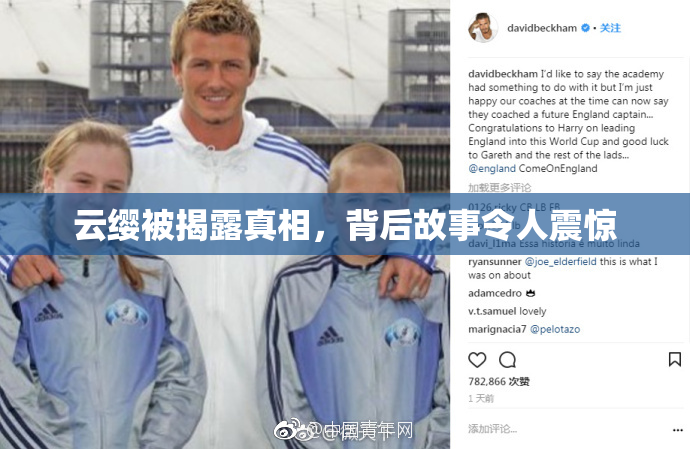 云缨被揭露真相，背后故事令人震惊