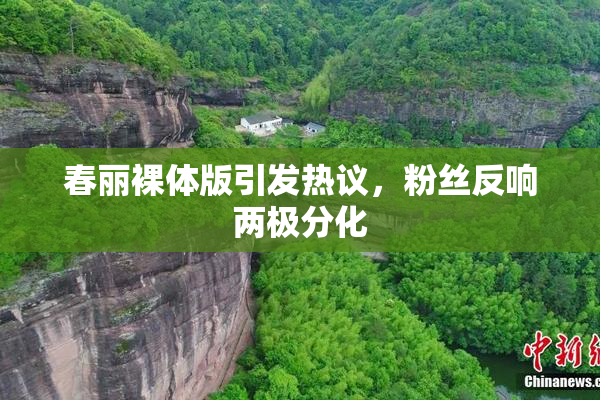 春丽裸体版引发热议，粉丝反响两极分化