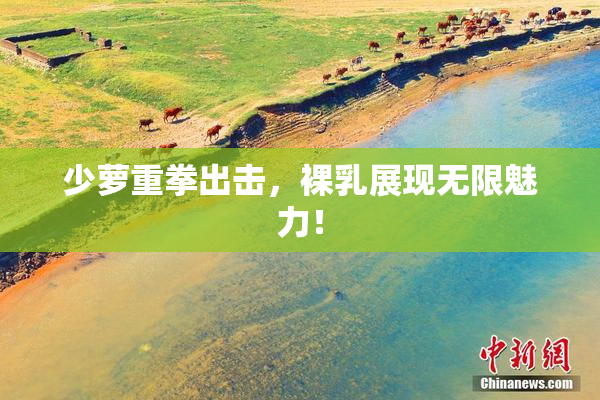 少萝重拳出击，裸乳展现无限魅力！