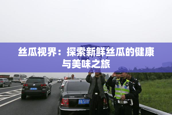 丝瓜视界：探索新鲜丝瓜的健康与美味之旅