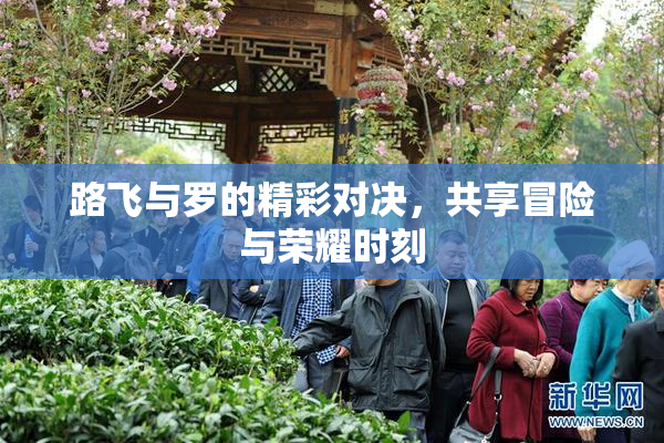 路飞与罗的精彩对决，共享冒险与荣耀时刻