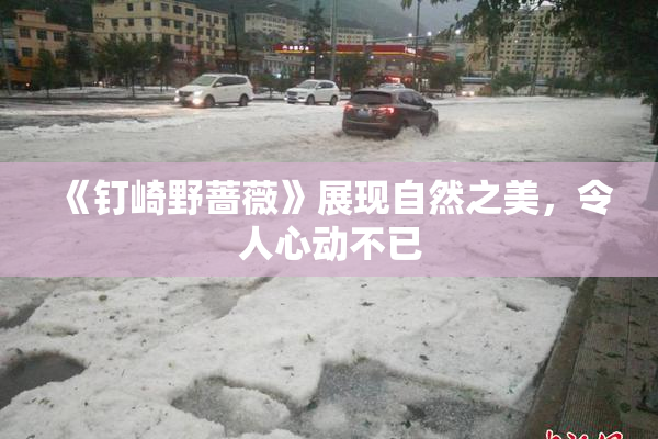 《钉崎野蔷薇》展现自然之美，令人心动不已