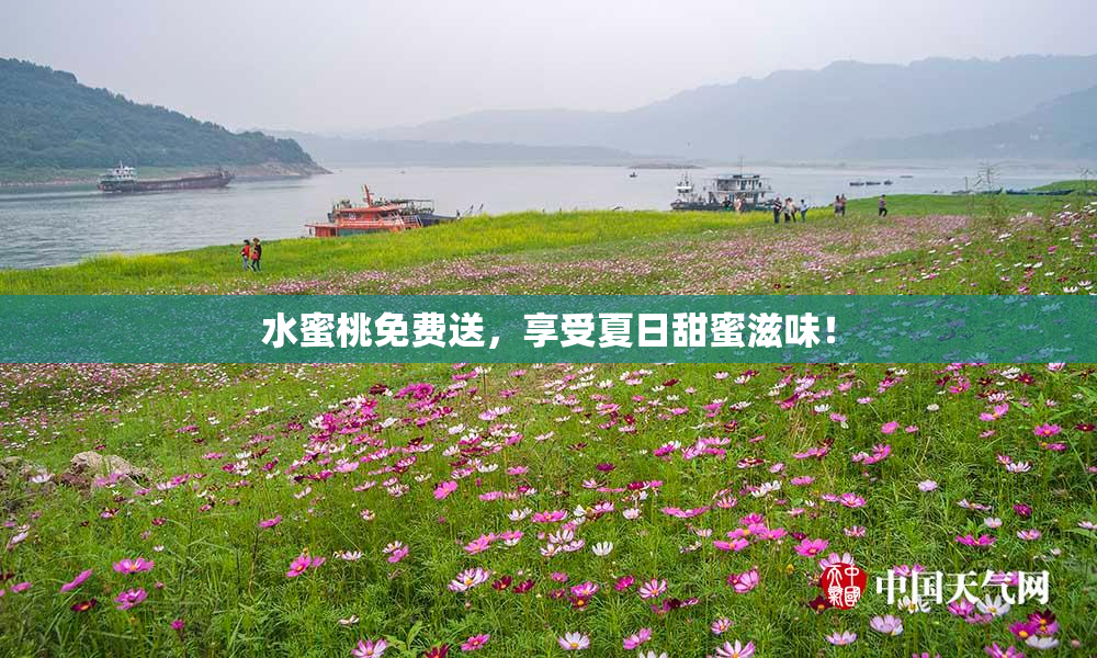水蜜桃免费送，享受夏日甜蜜滋味！