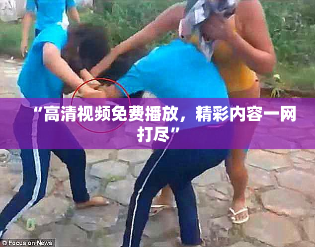 “高清视频免费播放，精彩内容一网打尽”