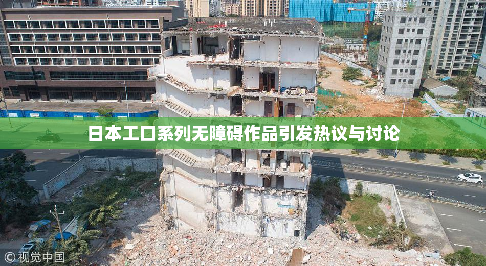 日本工口系列无障碍作品引发热议与讨论