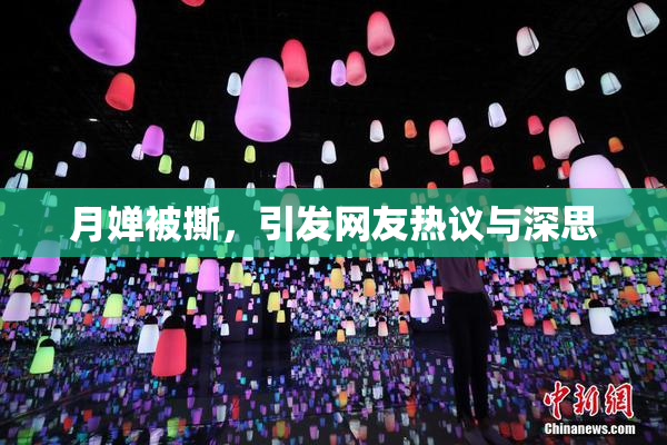 月婵被撕，引发网友热议与深思