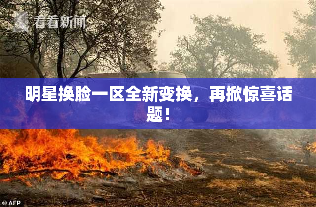 明星换脸一区全新变换，再掀惊喜话题！