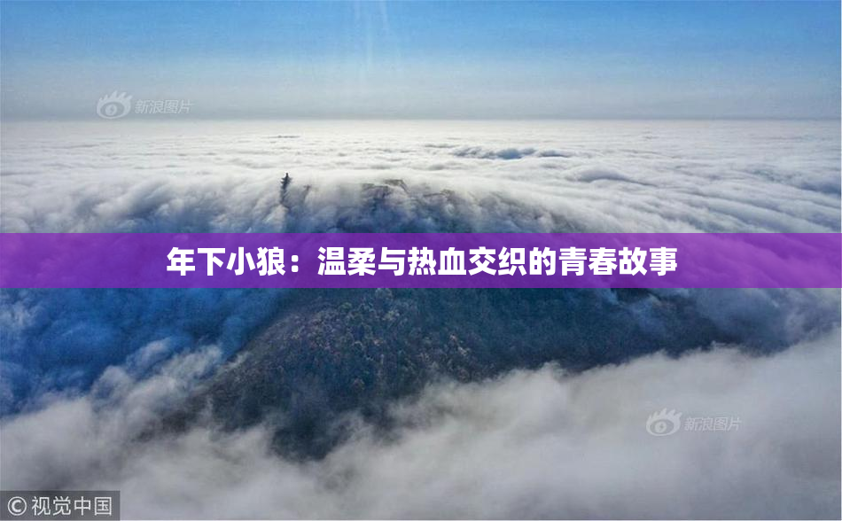 年下小狼：温柔与热血交织的青春故事