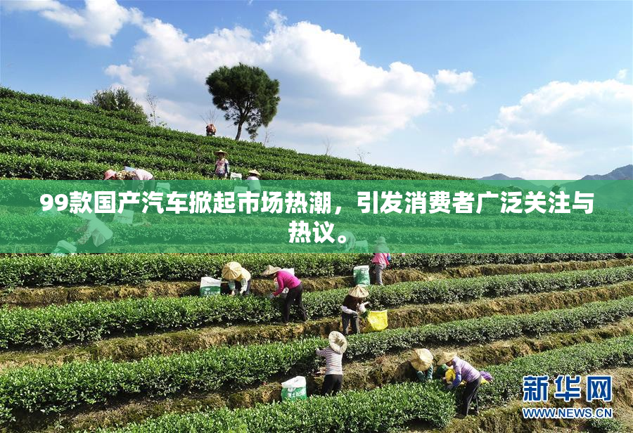99款国产汽车掀起市场热潮，引发消费者广泛关注与热议。