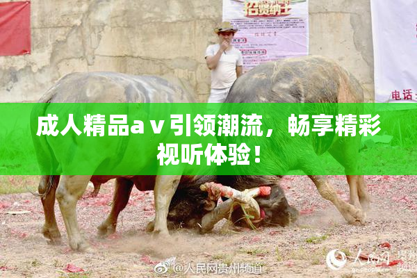 成人精品aⅴ引领潮流，畅享精彩视听体验！