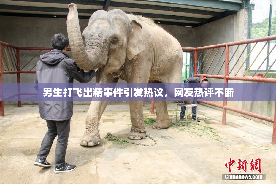 男生打飞出精事件引发热议，网友热评不断