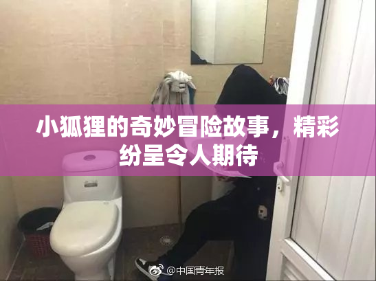 小狐狸的奇妙冒险故事，精彩纷呈令人期待
